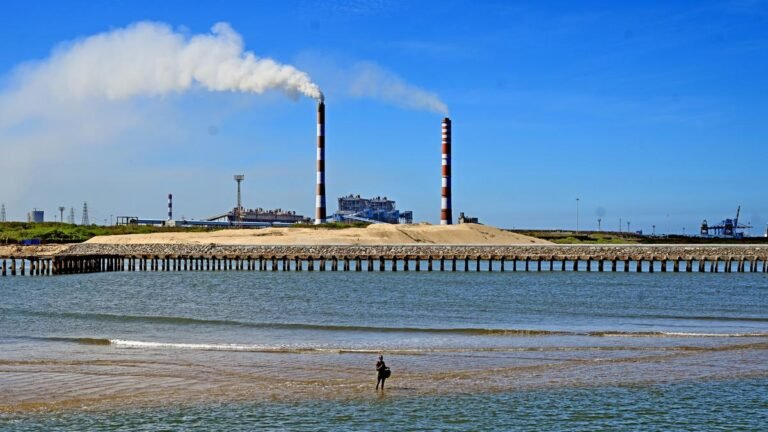 Chennai’s Ennore: Where industrial growth made life more difficult for residents