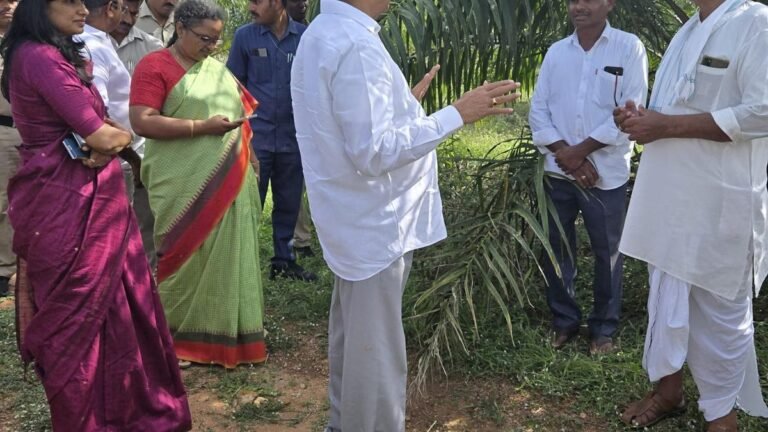 Minister asks officials to complete the factory work on Oilpalm in Narmetta by August 1