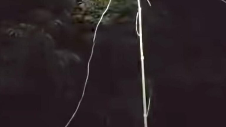 The electromitation of the boys’ power line of the ltinguis of liabed exposes the risk of power of power
