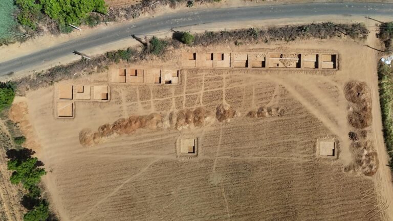 Archaeological excavations of the University of Keral Unarths University 5 300 -year -old Happy settlement in Gujarat