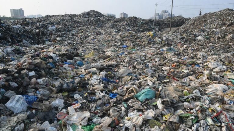 Firmly heals waste using black soldiers in Kochi to make the finitual production of biomanura to meet global standards