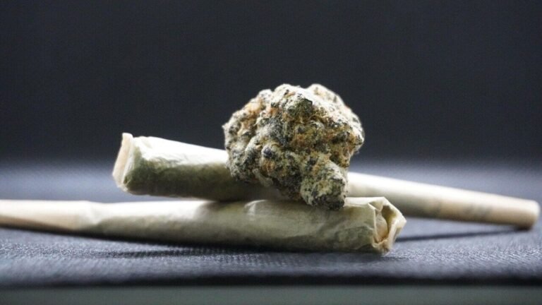 Six -year -old arrested in Mauritius: Cannabis worth 18.8 GBP Crore found in luggage during airport raid Tech Word News