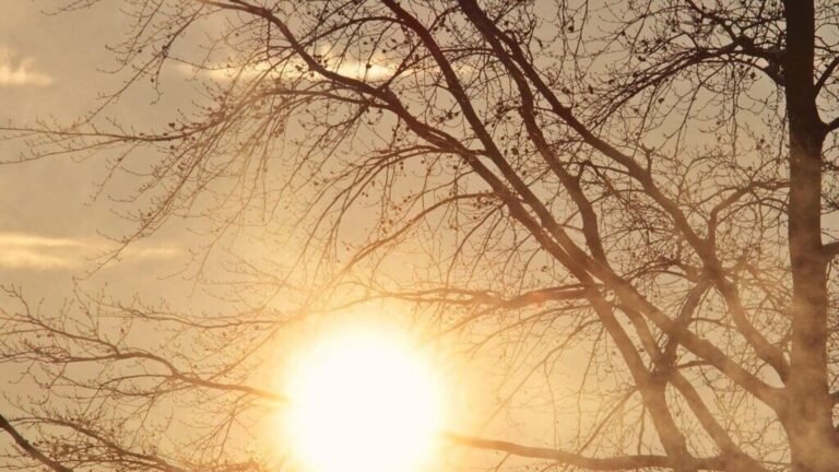 Delhi weather today: IMD warning of Heatwave in national capital; Temperature probably rises 45 degrees today news