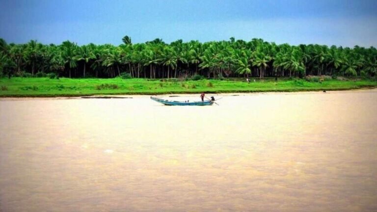 Telangana News: Five family members die after drowning in Godavari in Basara | Tech Word News