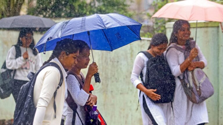 Monsoon proceed through Central, Eastern, West India in 2-3 days: IMD
