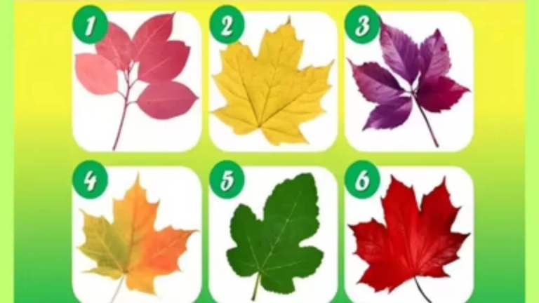 Personality test: Choose a sheet and find out why people count on you the most The news today