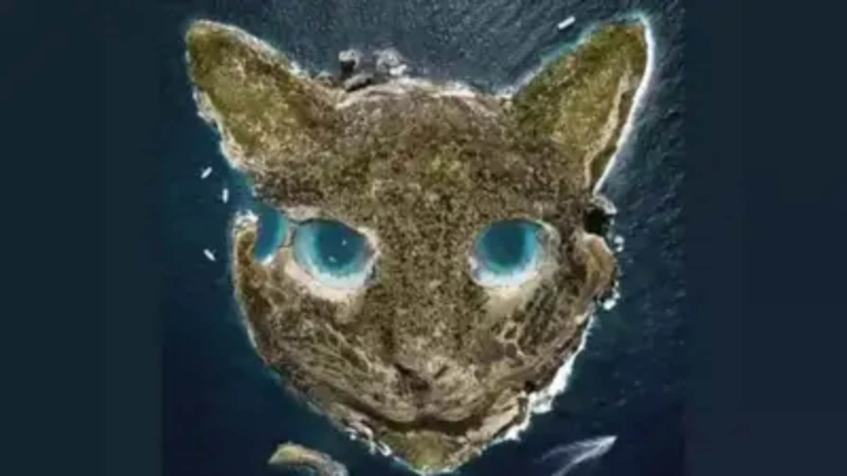 What you find in this optical illusion first reveals how you deal under pressure The news today