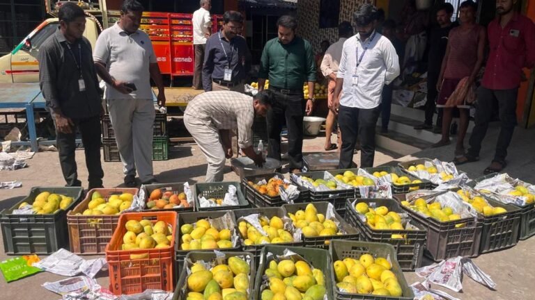 Food safety officials confiscated a ton of manga of artificially injured in vellore