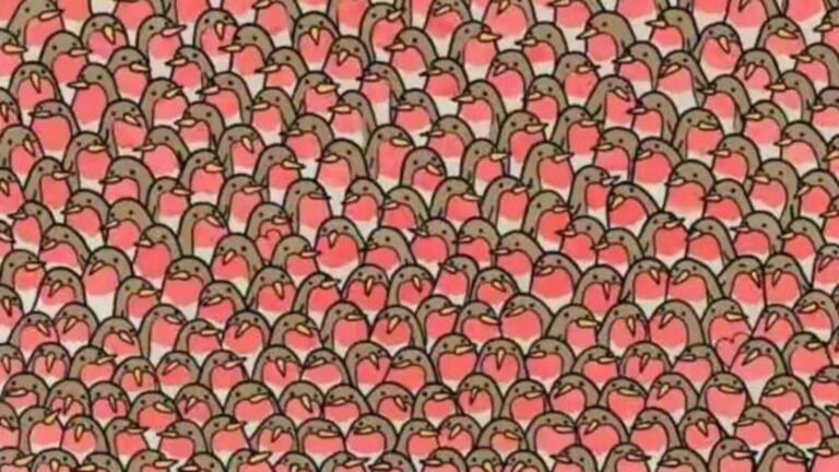 Only 1% can see two hearts in this illusion in 5 seconds; Are you one of them? | Tech Word News