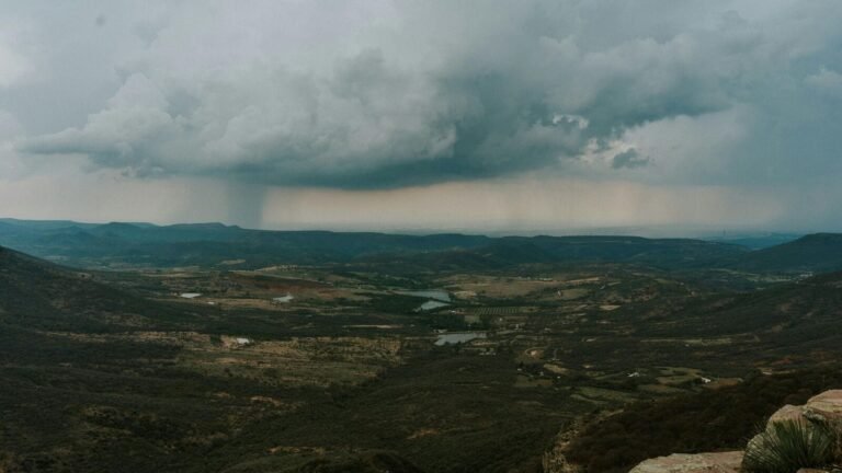 “Shouldn’t rain”, Met Met Department orders the weather order for children they can play; Social media reacts | The news today