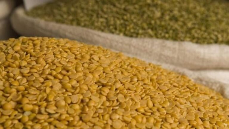 Boost MSP: Moong, Underground Nuts Assignments approved within the Price Support System Tech Word News