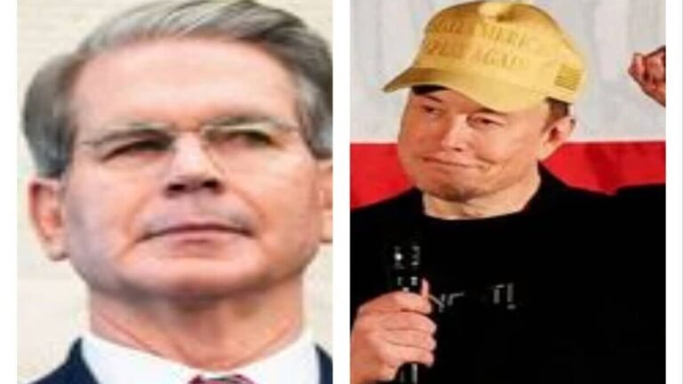 Scott Bessnt Mom at the alleged Elon Musk Scuffle, says, “I’m ninja, it’s Viking” | Tech Word News