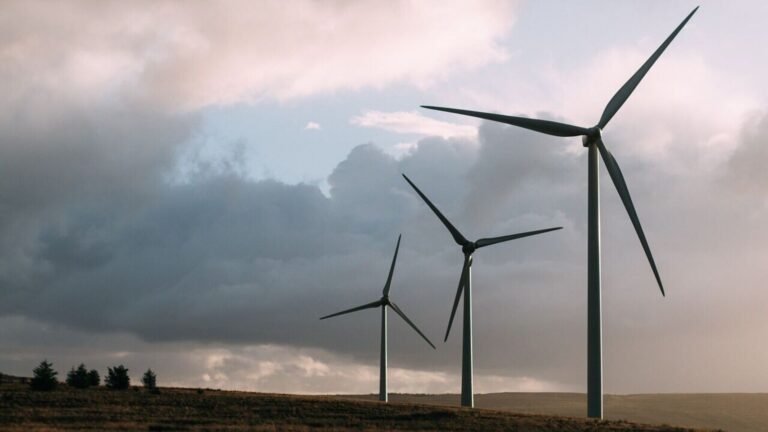 ACME Solar Holdings Commissions 19.8 MW Wind Capacity in Gujarat | Tech Word News