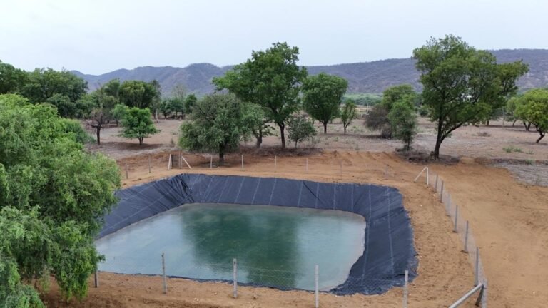 Rainwater harvest over agricultural ponds that benefit 6,000 villagers in the Jaipur district