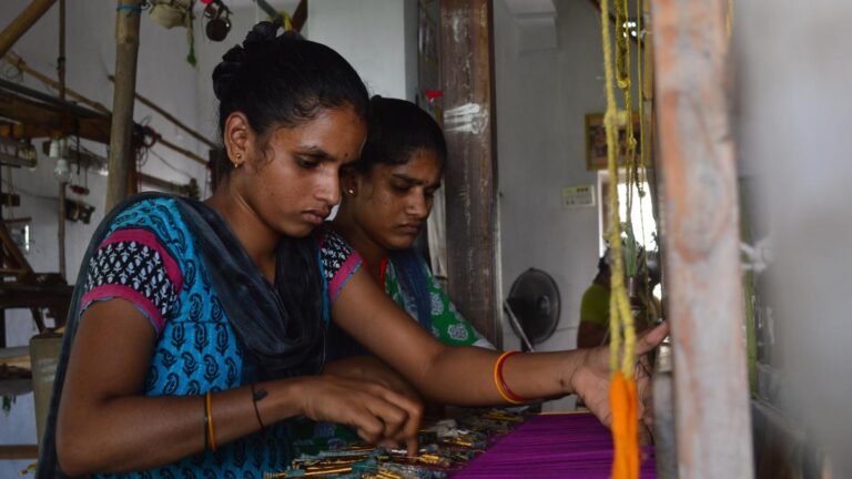 The Ministry of Textile involves experts in the weaving of the Fappad Jamdani Saree, the aim of which