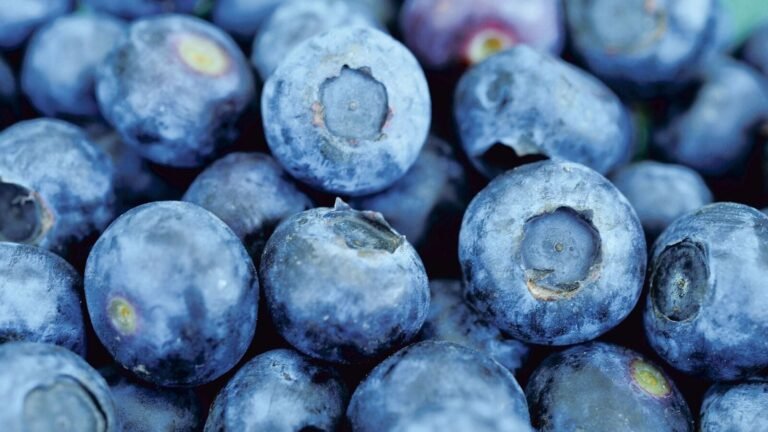 LISTERIA RISK OUTBREAK: FDA sounds alarm, resembles tumbled blueberries – check for details | Tech Word News