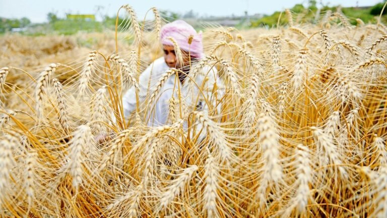 PM Kisan Samman Nidhi 20. Installment: release date, steps to update address, web, recipient list and more | Tech Word News