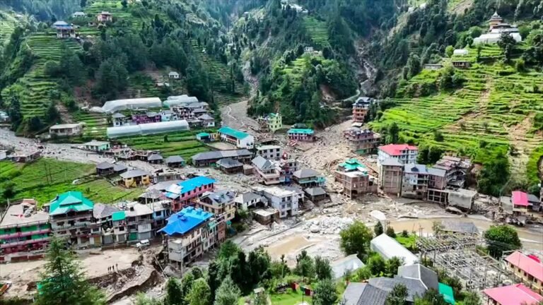 Mandi cloudbursts: Pet Dog saved 60 lives in the village of Himachal “Howling loud” in the middle of lightning floods, landslide