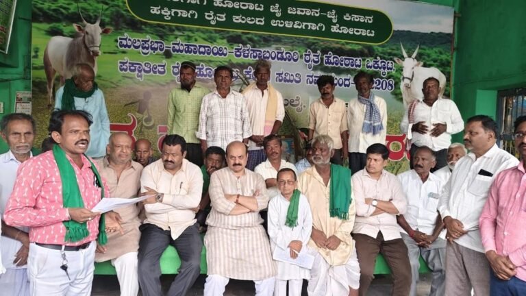 Efforts to obtain permission for Mahadayi, says Bommai