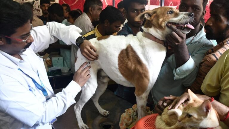 Vaccination unit against Rabies: 17 000 doses prepared in the Kadapa Kadapa district Andr Pradesh