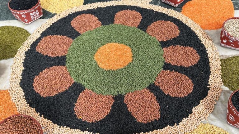 Desi Seed Festival will take place in Mysuru to create awareness of crop diversity