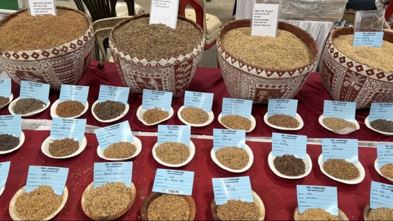 “Desi Beejotsava” celebrates agricultural diversity, emphasizes the importance of sovereignty