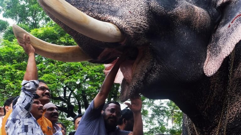 It’s Time of Rejuvenation for Jumbos from Guruvayur Devaswom