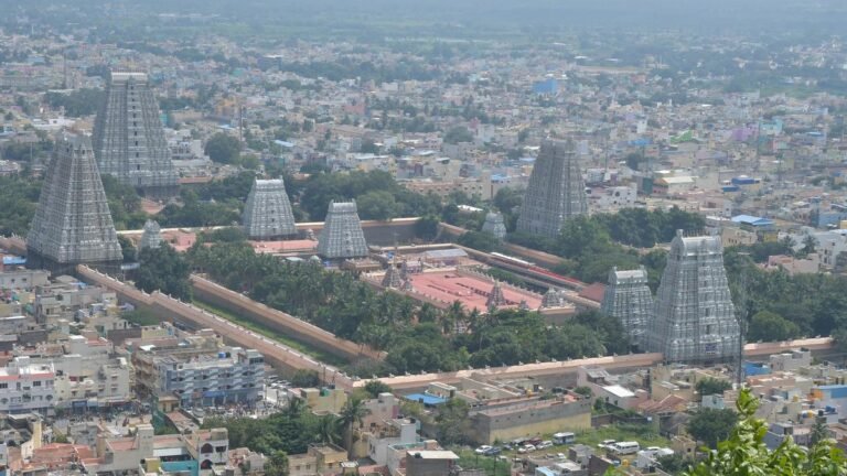 The man held for the theft of Hundi in the temple of Arunachaleswara