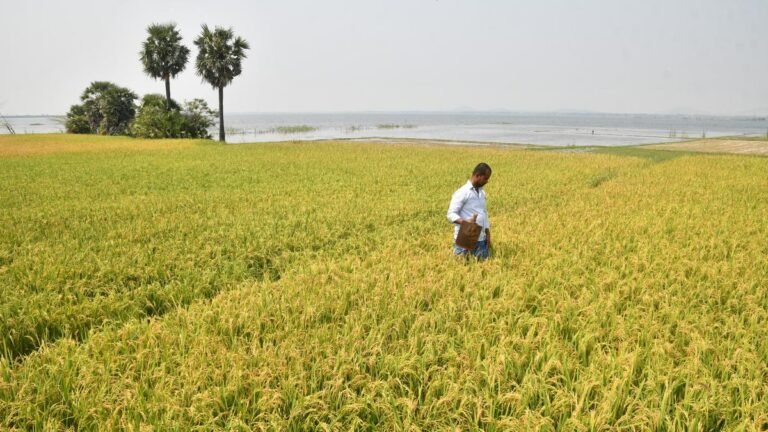 Government connects 36 schemes for farm farms