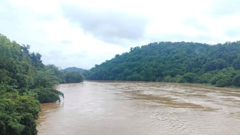 Karnataka Rains: Inflow to Reservoirs increases in Shivamogga, Chikkamagalur and Hassan Districs
