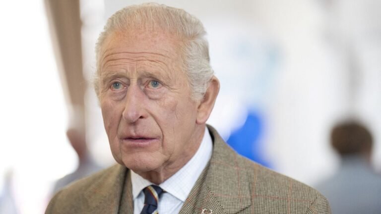 King Charles report on the 20th anniversary of 7/7 of London attacks: “The spirit of unity against those who are trying to divide us” | Tech Word News