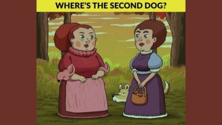 Optical illusion: Do you have good observations? Try to find a second hidden dog in this picture today news