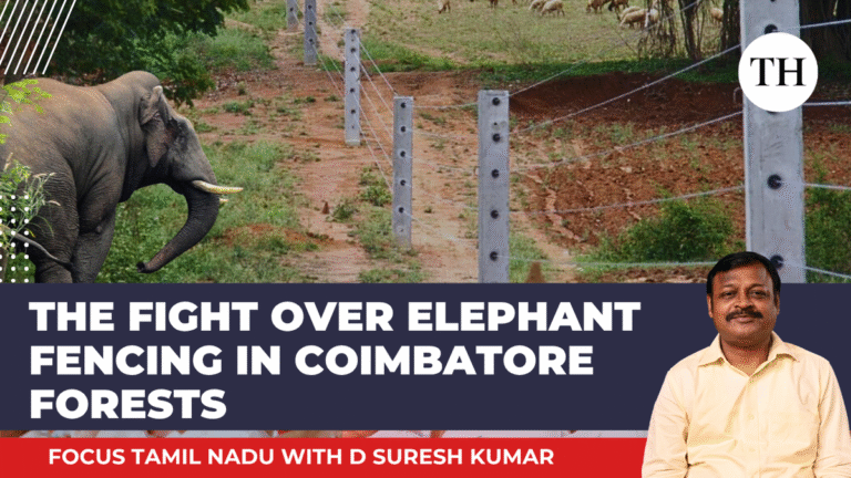 Watch: Fight for fencing elephants in Coimbatore Forests | Focus Tamil Nadu
