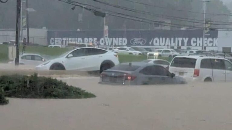Flash Flood Warning: New Jersey Hit, New York in alert like Storms Lash Northeast; Laguardia, affected island Staten | Tech Word News