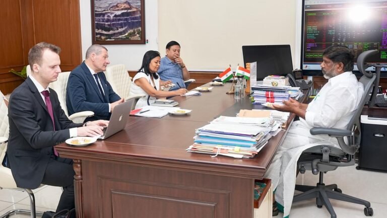 Representative of CM Bhatti for French Investment