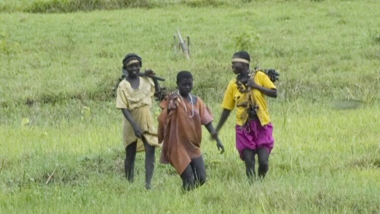 Access to Jarawa One of the oldest tribes of surviving hunters-Gather for the census will not be difficult: experts
