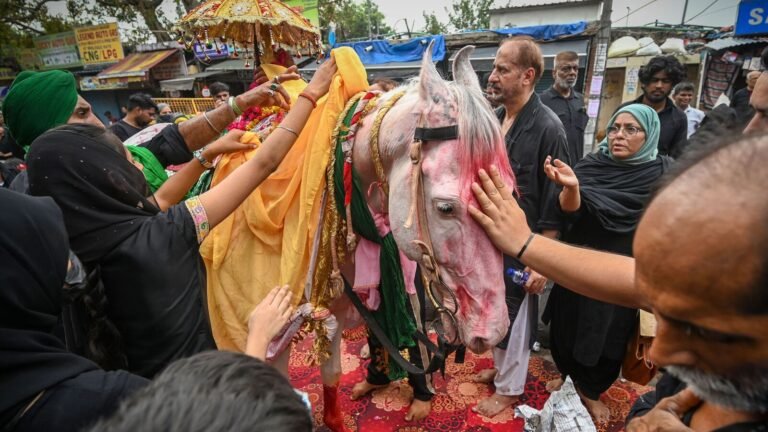 Five cops of the injured in Ujjain after the participants of the Muharram procession used horses for murderers to barricades on the forbidden route | Tech Word News