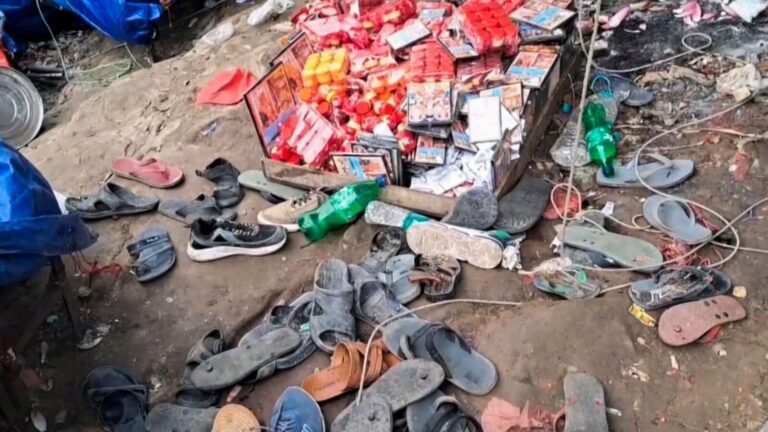 MANSA Devi Stampede: “Rumor” caused panic in Haridwar | What exactly happened? | Tech Word News