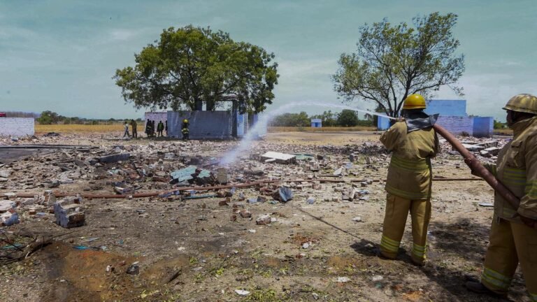 Myths are strict action during the inspection ordered by NGT, more than 200 units of the flip -flops in the Virudhunagar Tamil district remains closed