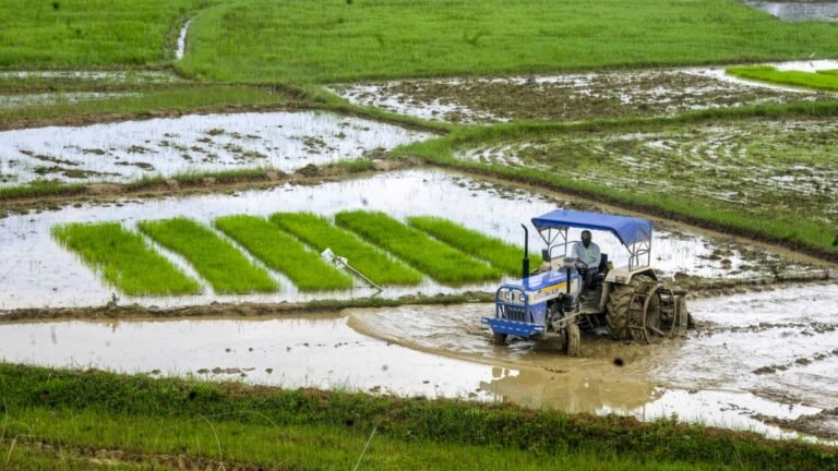 IMD issues a yellow warning of heavy rains in parts of Jharkhand from 13 to 15 July