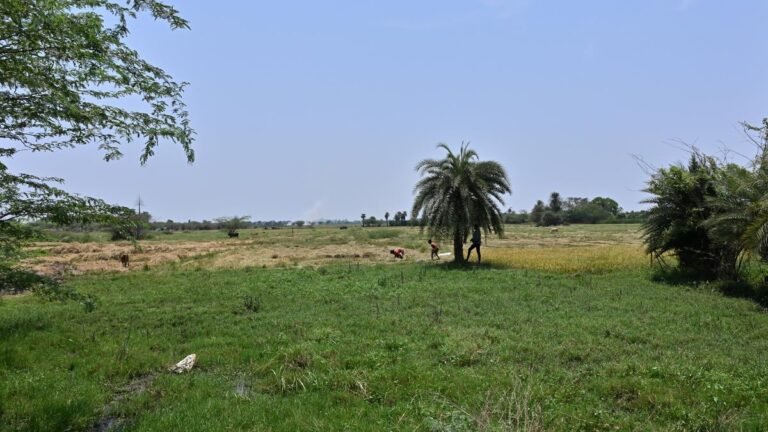 The soil acquisition will take off to the second Chennai airport in Parandur