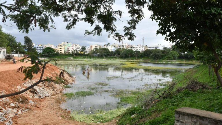 Pnlit will perform from the maintenance of lake puttenahali after BBMP announcement