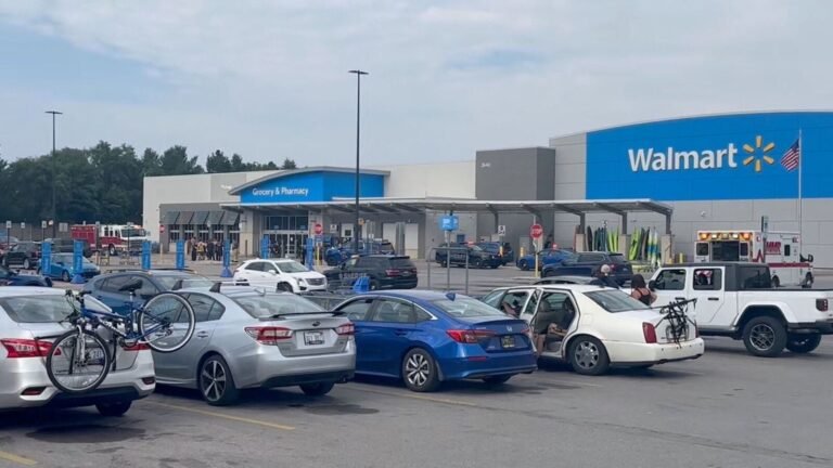 Michigan Walmart: Trump Ally Laura Loomer kicks Muslim immigrants, “What are the chances of …” | Tech Word News