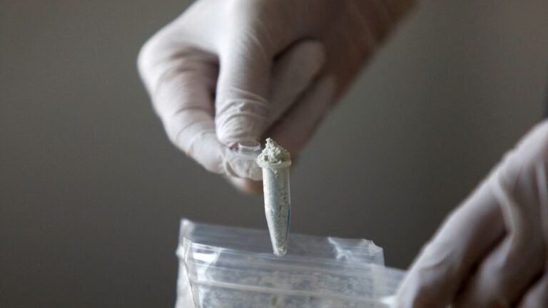 What is a fentanyl crisis? Drug that Donald Trump to slap 35% of the tariffs per Canada Tech Word News