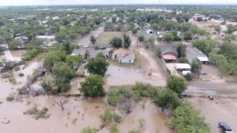 “I would think not”: Trump, so that meteorologists fail to shoot after the forecast forecast by Texas | Tech Word News