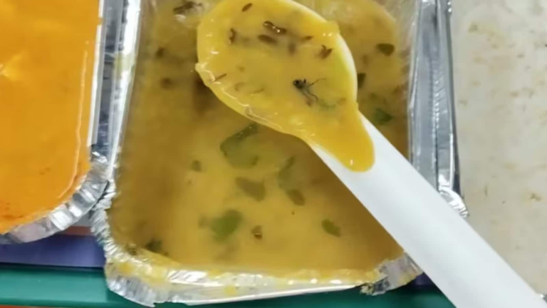 Insects found in “Daal” served on Vande Bharat Express; Passengers express frustration, the railway corresponds to the news today