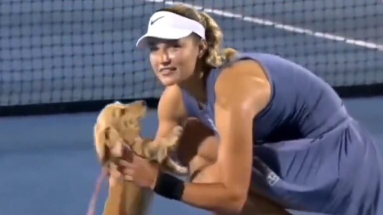Watch: dog Anna Kalinskaya delightfully runs in court to celebrate the victory of the owner
