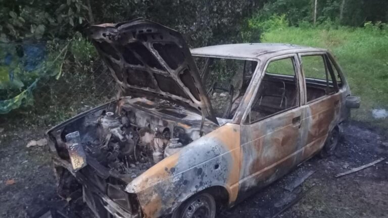 Woman, 3 kids injured in a explosion of a car in Kerala