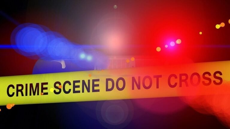 Tamil Nadu Horror: Dalit Techie attacked to death with Sickle from his brother girlfriend in Tirunevel | Tech Word News