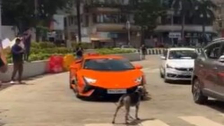 Viral Video: Stray Dog Blocks Lamborghini in Mumbai, the Internet calls it “real road boss” | Tech Word News
